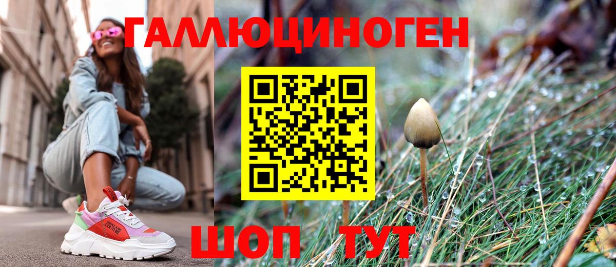 Псилоцибиновые грибы ЛСД  Галлюциногенные грибы Cubensis  Муравленко  Вход с VPN 